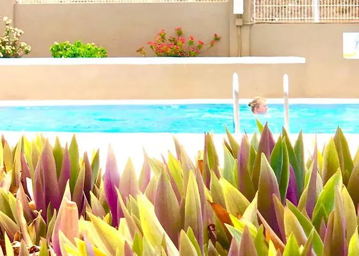 Comfort In Playa Americas Appartement