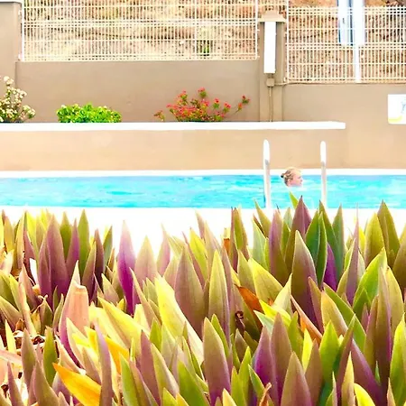 Comfort In Playa Americas 아파트
